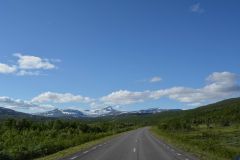 DSC 0319