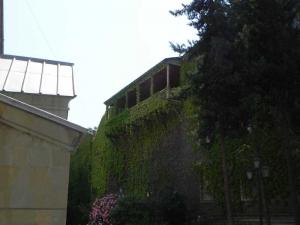 DSCN1604.JPG
