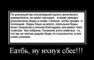 6vDKD59hna4.jpg
