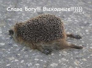 getImage_2013-10-22.jpg