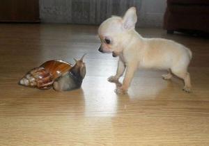 picdump-997-13.jpg