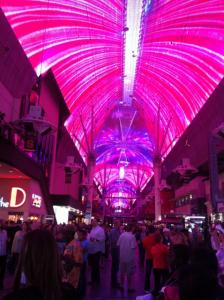 IMG_1807478x640.jpg