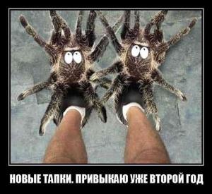 IMG_20140611_224942_5.jpg