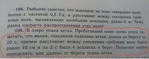 story-_-205135.jpeg