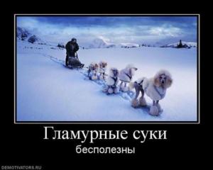 1f16b2cec92cefbe25bc13522f255727.jpg