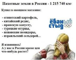 97e9b9847b2872eb3e43d77fdcf86d9e.jpg