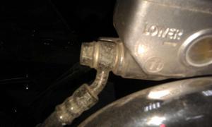 IMAG0369.jpg