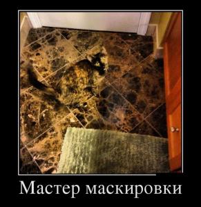 demotiw3_2014-01-24.jpg