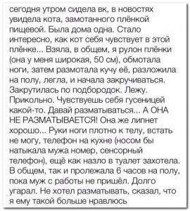 kot_v_pishevoy_plenke.jpg