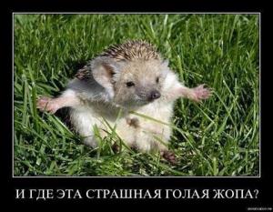 image_2014-05-30.jpg