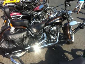 IMG_1669.JPG