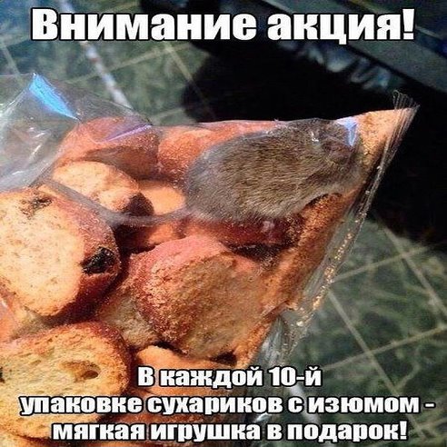 04.jpg