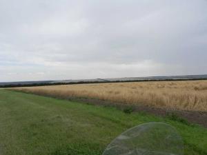 DSCN1436.JPG