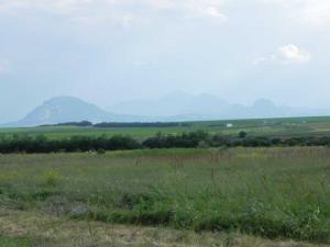 DSCN1439.JPG