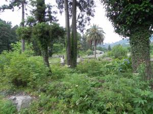 DSCN1887.JPG