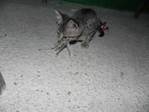 DSCN2113.JPG