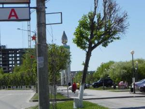 DSCN3350.JPG