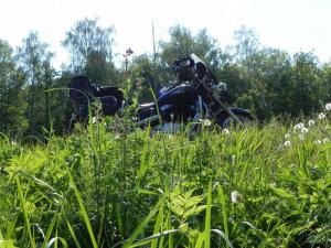 DSCN3950.JPG