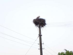 DSCN4004.JPG