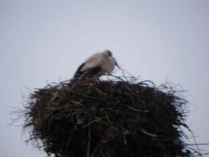 DSCN4006.JPG