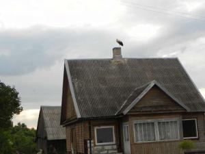 DSCN4189.JPG