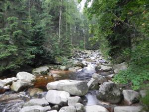 DSCN4224.JPG