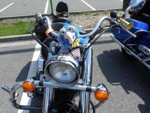 DSCN4347.JPG