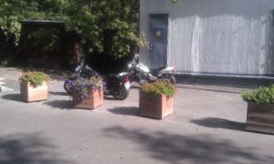 IMAG0222.jpg