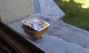 IMAG0532.jpg