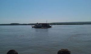 IMAG0537.jpg
