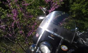 IMAG0548.jpg