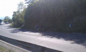 IMAG0550.jpg
