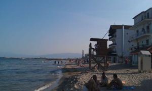 IMAG0617.jpg