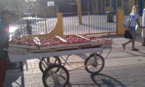 IMAG0618.jpg