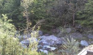 IMAG0637.jpg
