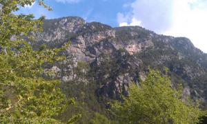 IMAG0638.jpg