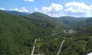 IMAG0645.jpg