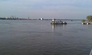 IMAG0659.jpg