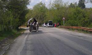 IMAG0669.jpg