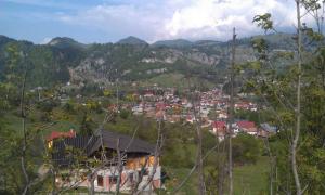 IMAG0670.jpg