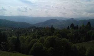 IMAG0671.jpg