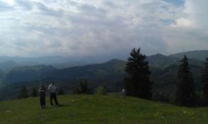 IMAG0673.jpg