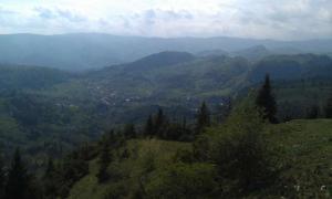 IMAG0675.jpg