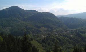 IMAG0676.jpg