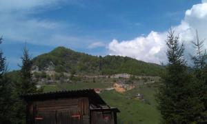 IMAG0678.jpg