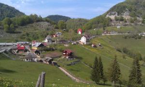 IMAG0679.jpg