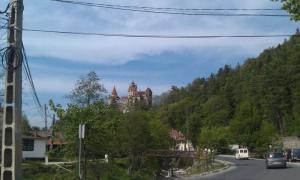 IMAG0682.jpg