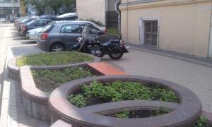 IMAG0806.jpg