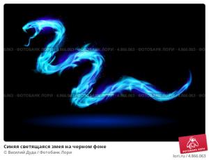 sz-sinyaya-svetyaschayasya-zmeya-na-chernom-fone-0004866063-preview.jpg