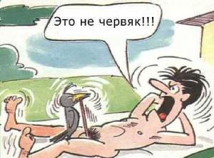 getImage (2).jpg
